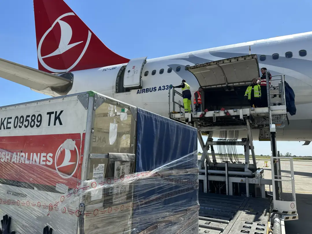 Almanya'daki oy pusulaları Türkiye'ye gönderildi