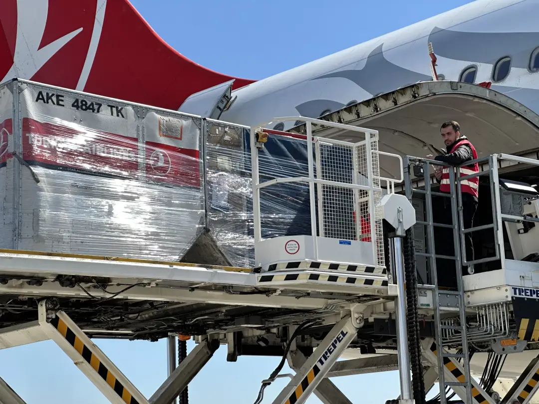 Almanya'daki oy pusulaları Türkiye'ye gönderildi