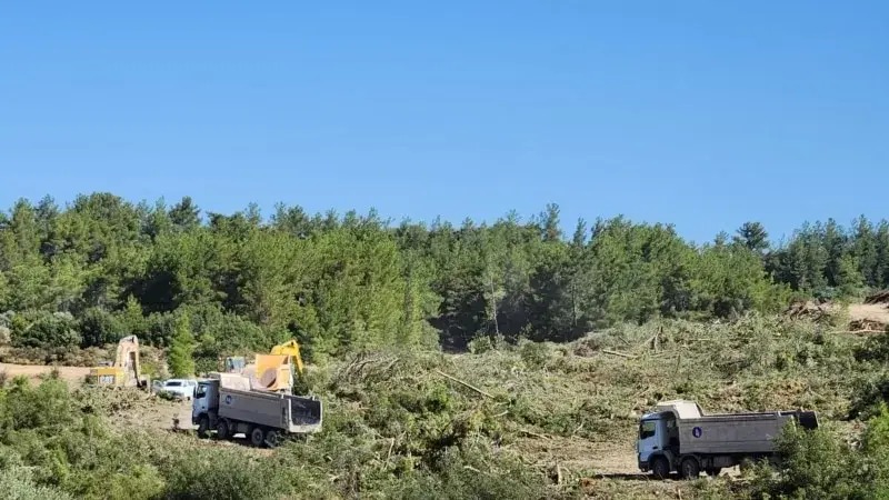 Akbelen'de dört yıllık kömür rezervi için yüzyıllık doğa katledildi