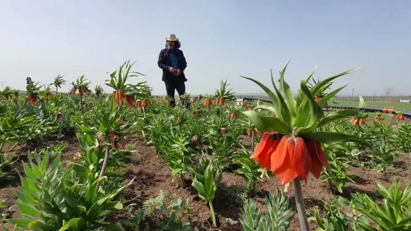 Çiftçilikten kazandığı parayla ‘Nişo’nun Kavalı’nı çekti