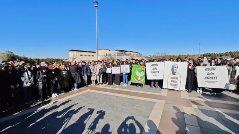 Van Gölü’nde cesedi bulunan Diyarbakırlı üniversite öğrencisi Rojin Kabaiş için adalet çağrısı