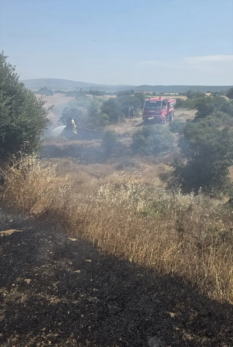 Çanakkale'de tarım arazisinde yangın söndürüldü