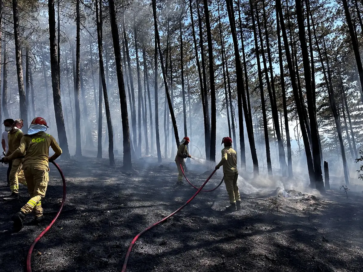 Kastamonu'da Orman Yangını Söndürüldü