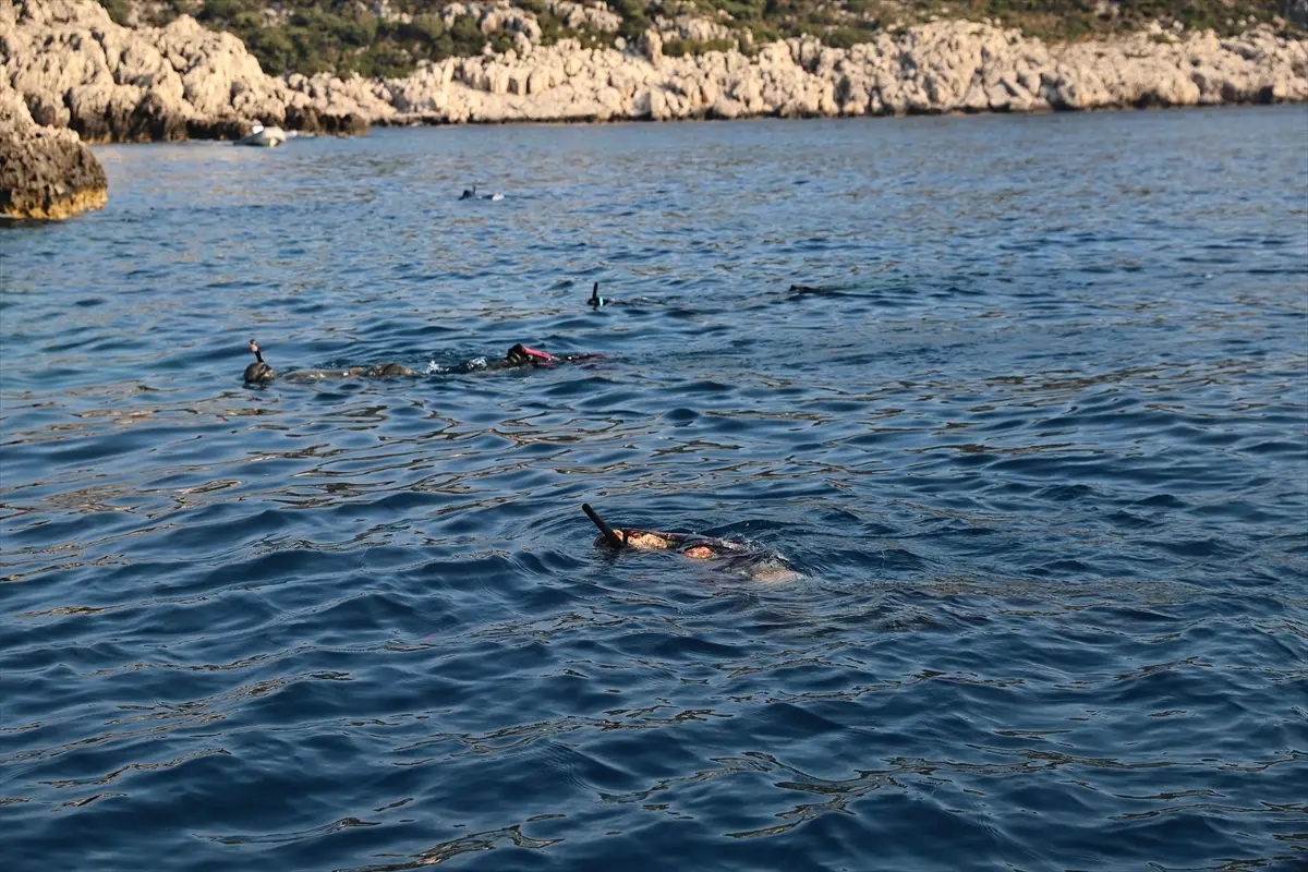 Antalya'da 151 Aslan Balığı Avlandı