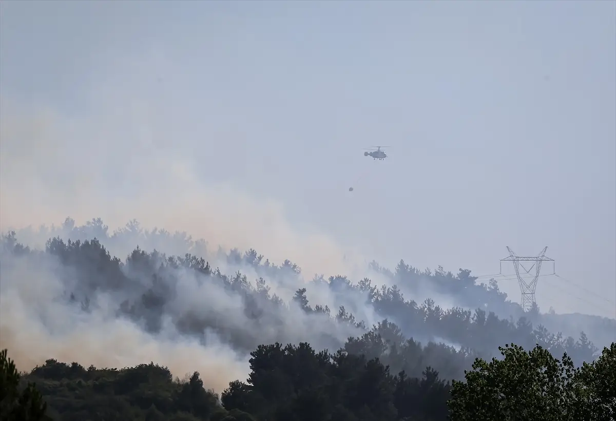 Balıkesir'in Altıeylül ilçesinde çıkan orman yangınına müdahale ediliyor