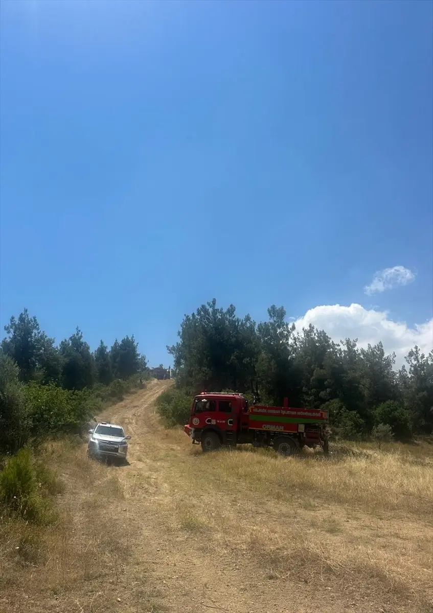 Bilecik'te Yangın Kontrol Altına Alındı