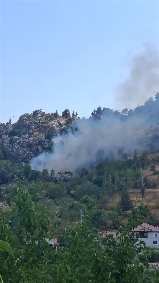 Alanya'da zirai alanda yangın söndürüldü