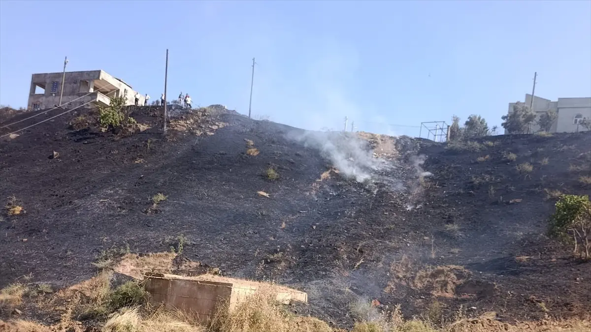 Siirt'te otluk alanda yangın söndürüldü