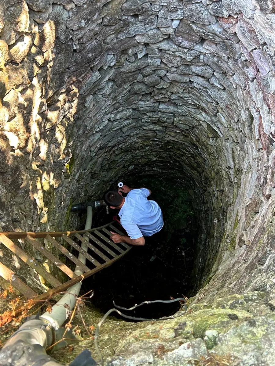 Karaca kuyuya düştü, ekipler kurtardı