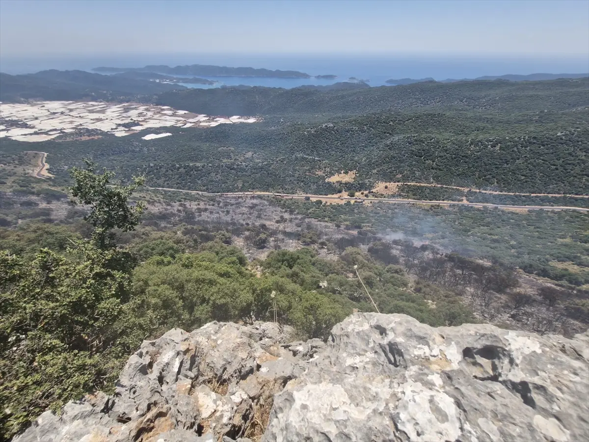 Antalya'da makilik alanda çıkan yangın kontrol altına alındı