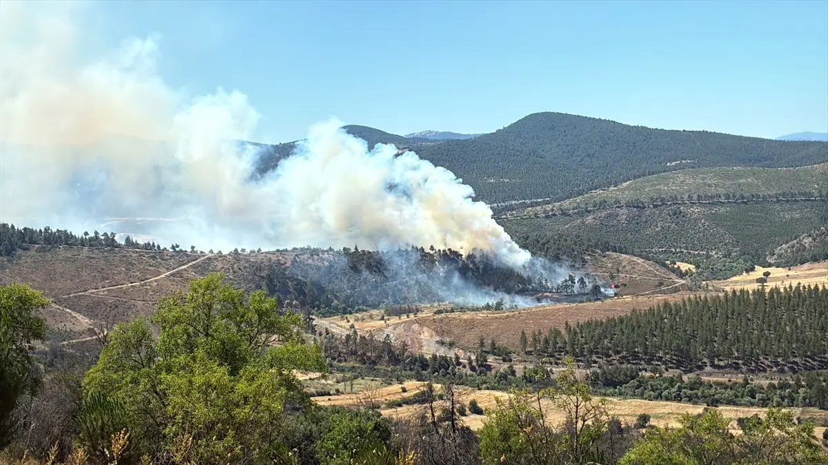 Bursa'da orman yangınına müdahale sürüyor