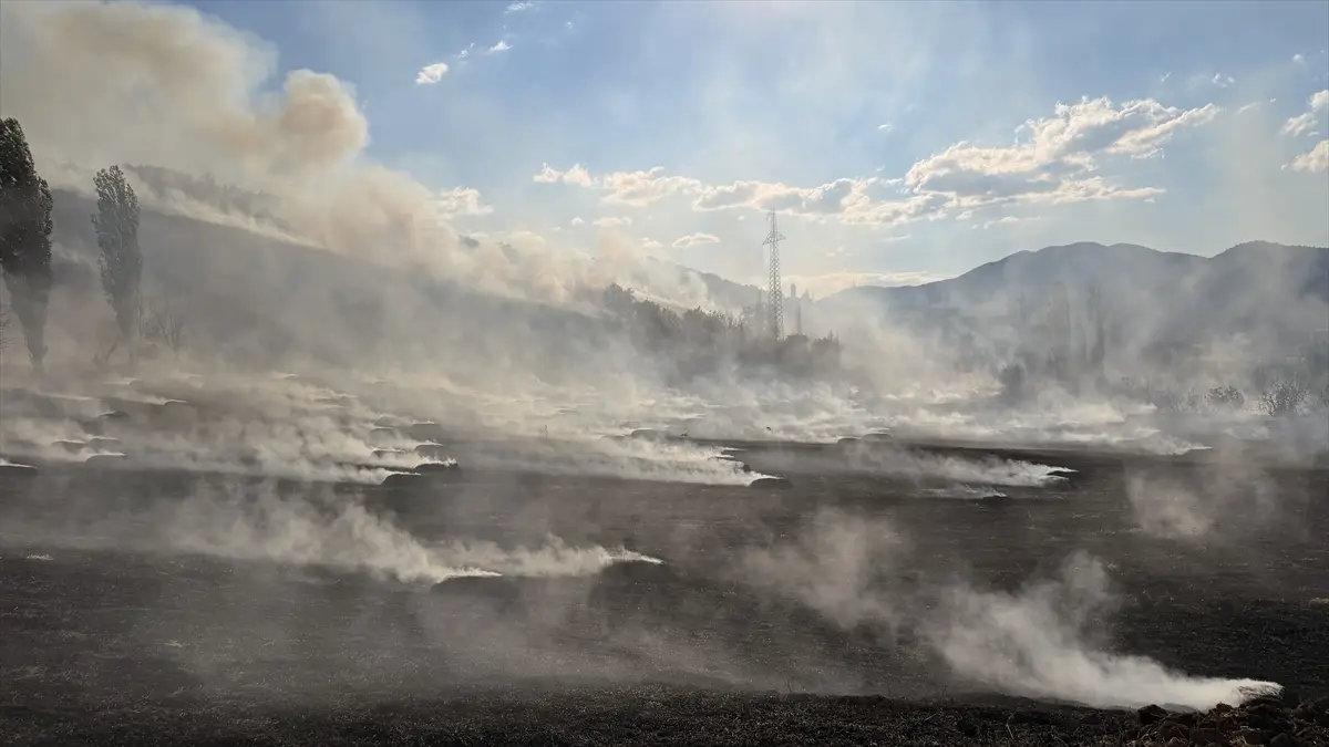 Çorum'da orman yangınına müdahale ediliyor