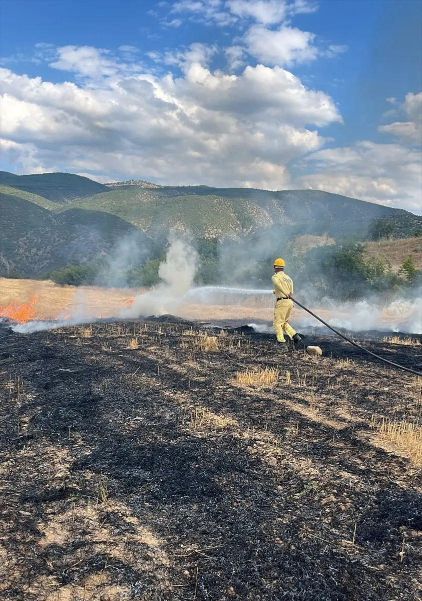 Kastamonu'da anız yangını kontrol altına alındı