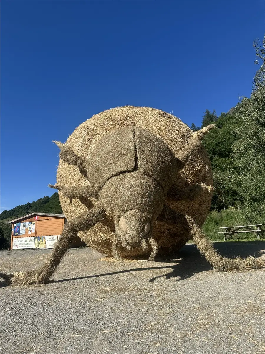 Prof. Ceyhun Konak: Dung Beetle Sculpture Wins Award in France
