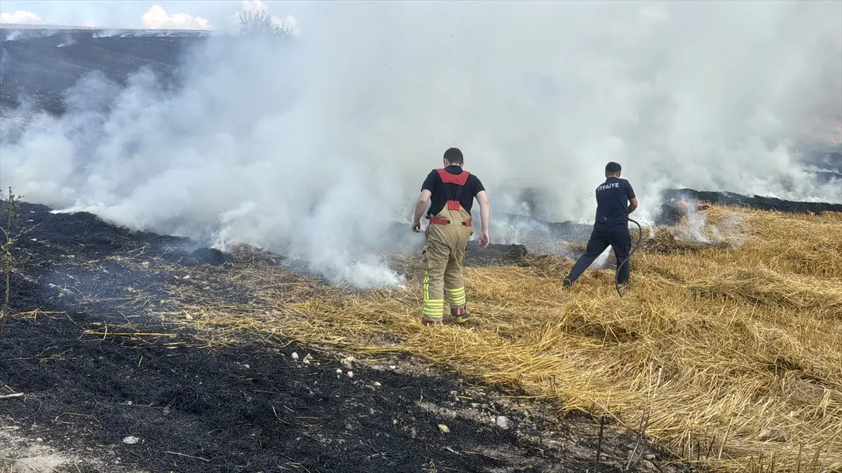 Edirne'de Anız Yangını: 30 Dekar Tarım Arazisi Kül Oldu