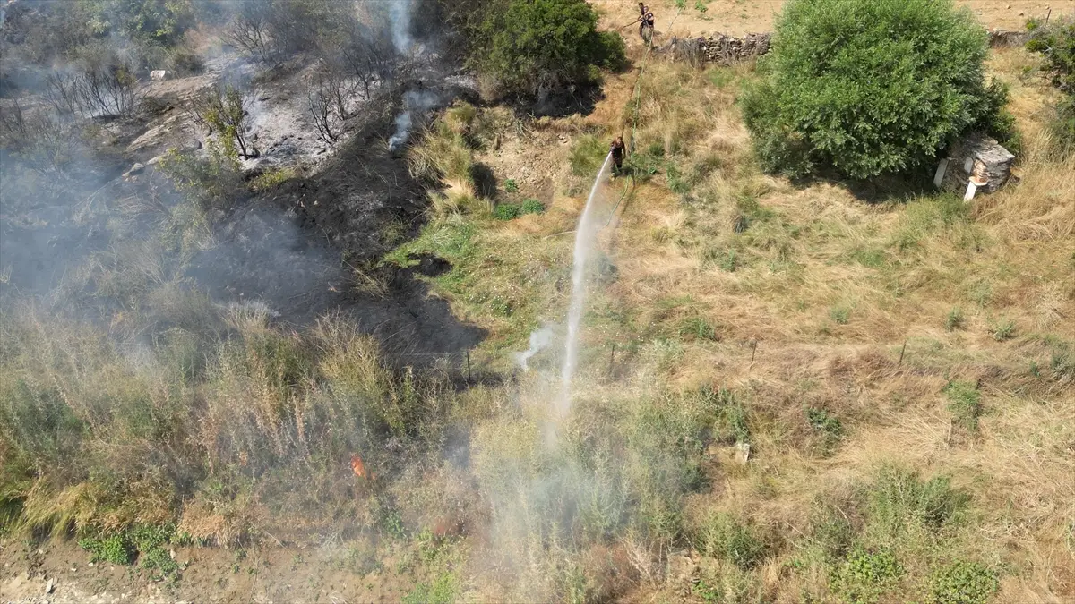 Brand in Manisa: Auf Mandelbäume übergegriffene Flammen gelöscht