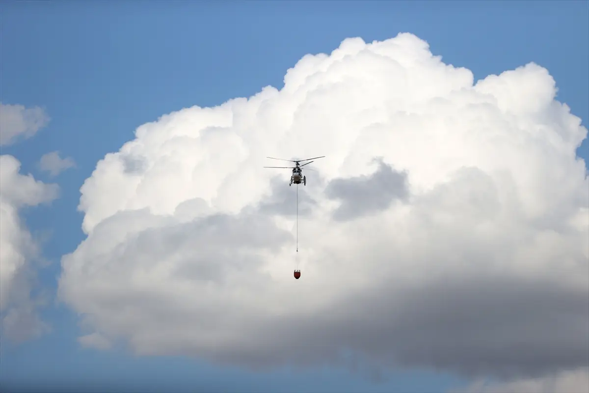 Waldbrand in Kırklareli gelöscht