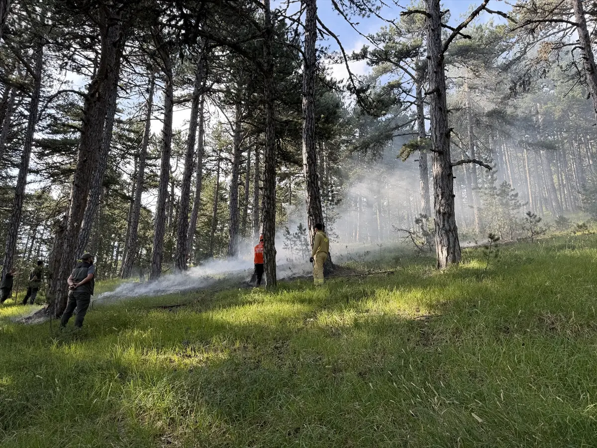 Waldbrand in Kütahya durch Blitzschlag gelöscht