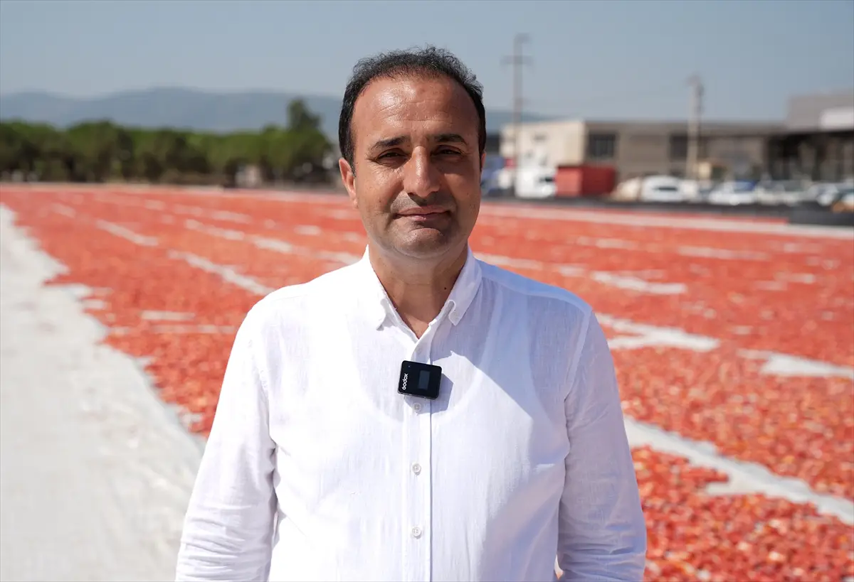 Türkiye: Kurutulmuş domates ihracatı ilk yarıda 61 milyon dolar