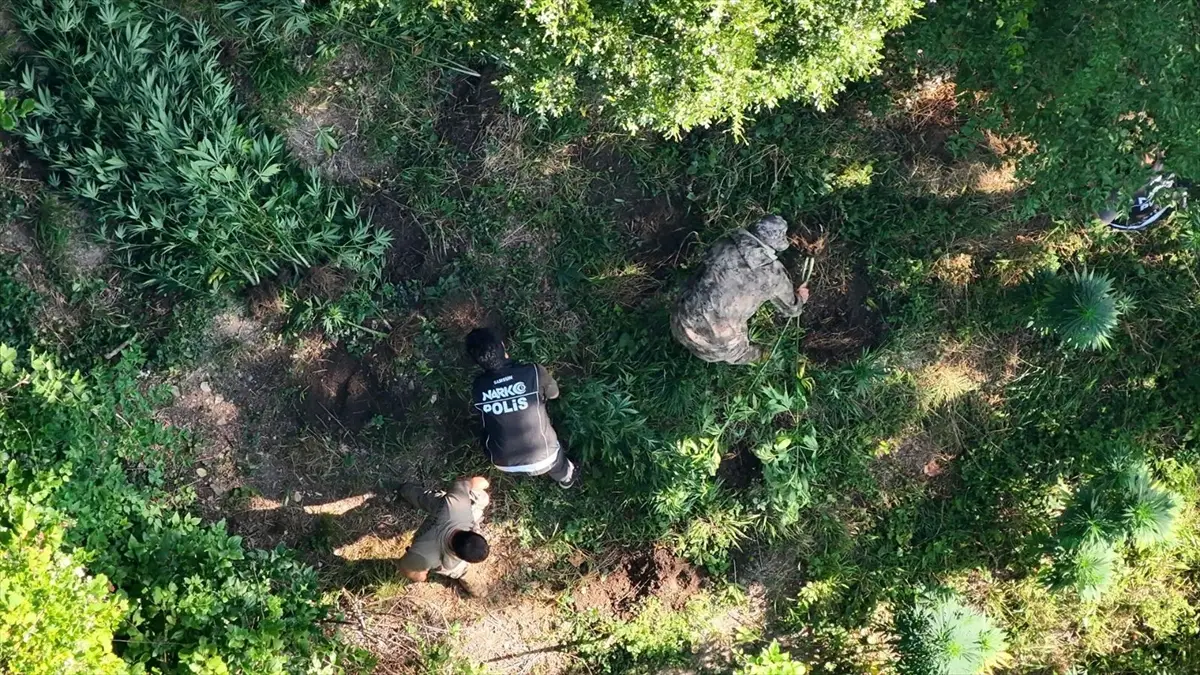 Drug Operation in Samsun Bafra: 1 Arrested
