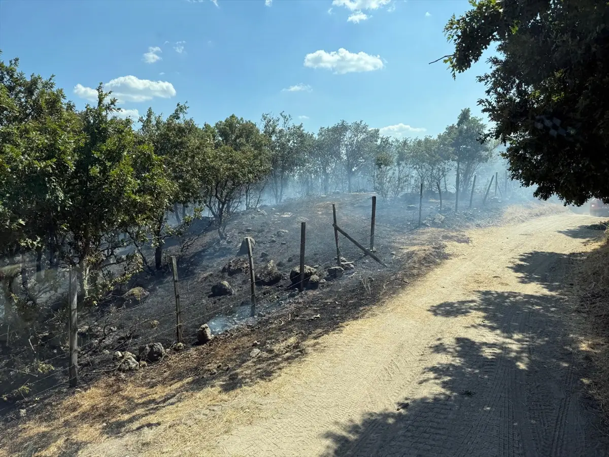 Çanakkale Yenice'de çıkan orman yangını söndürüldü