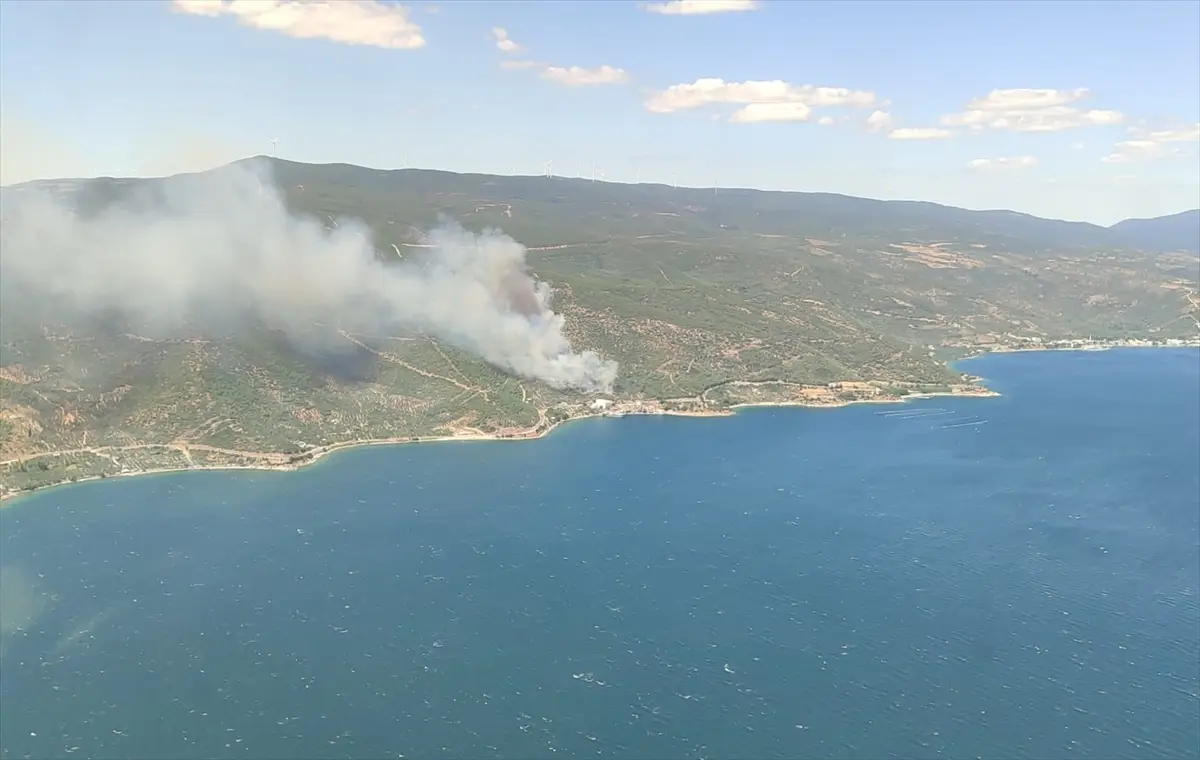 Yalova'da çıkan orman yangını kontrol altına alındı