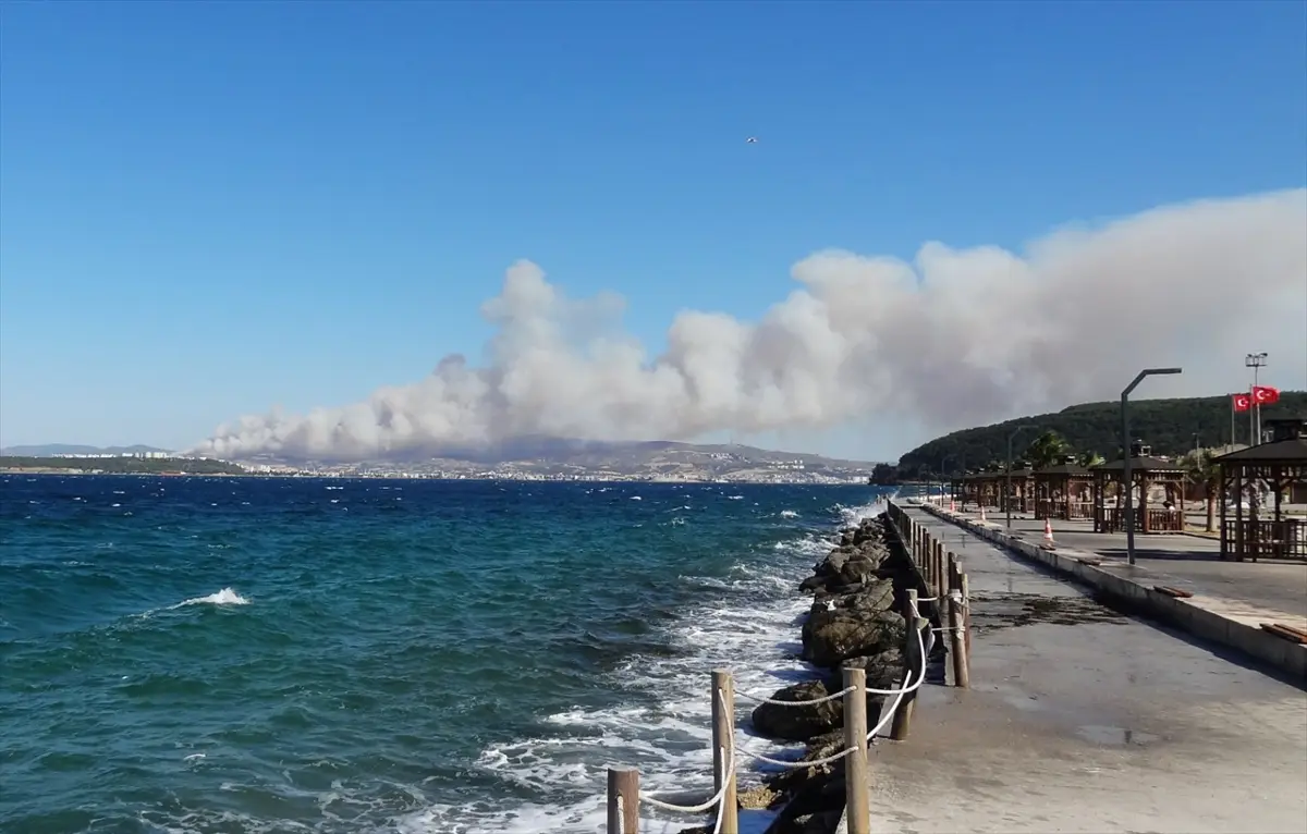 Çanakkale'de orman yangını: Ekipler havadan ve karadan müdahalede