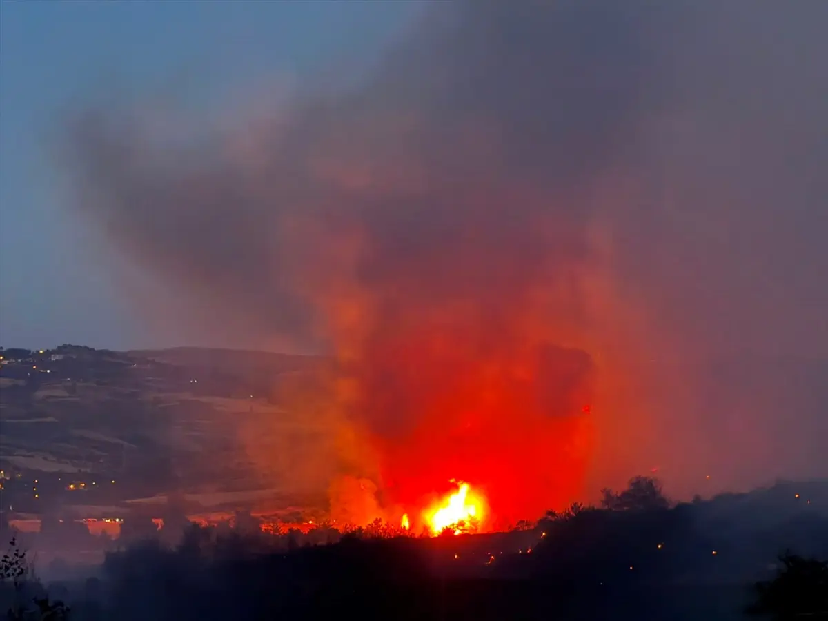 Çanakkale merkezdeki ormanlık alanda çıkan yangın kontrol altına alındı