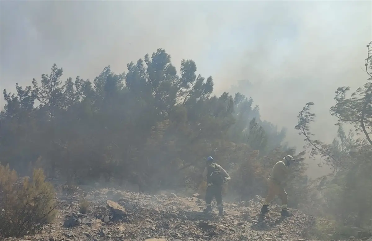 Mersin'deki orman yangınına havadan ve karadan müdahale