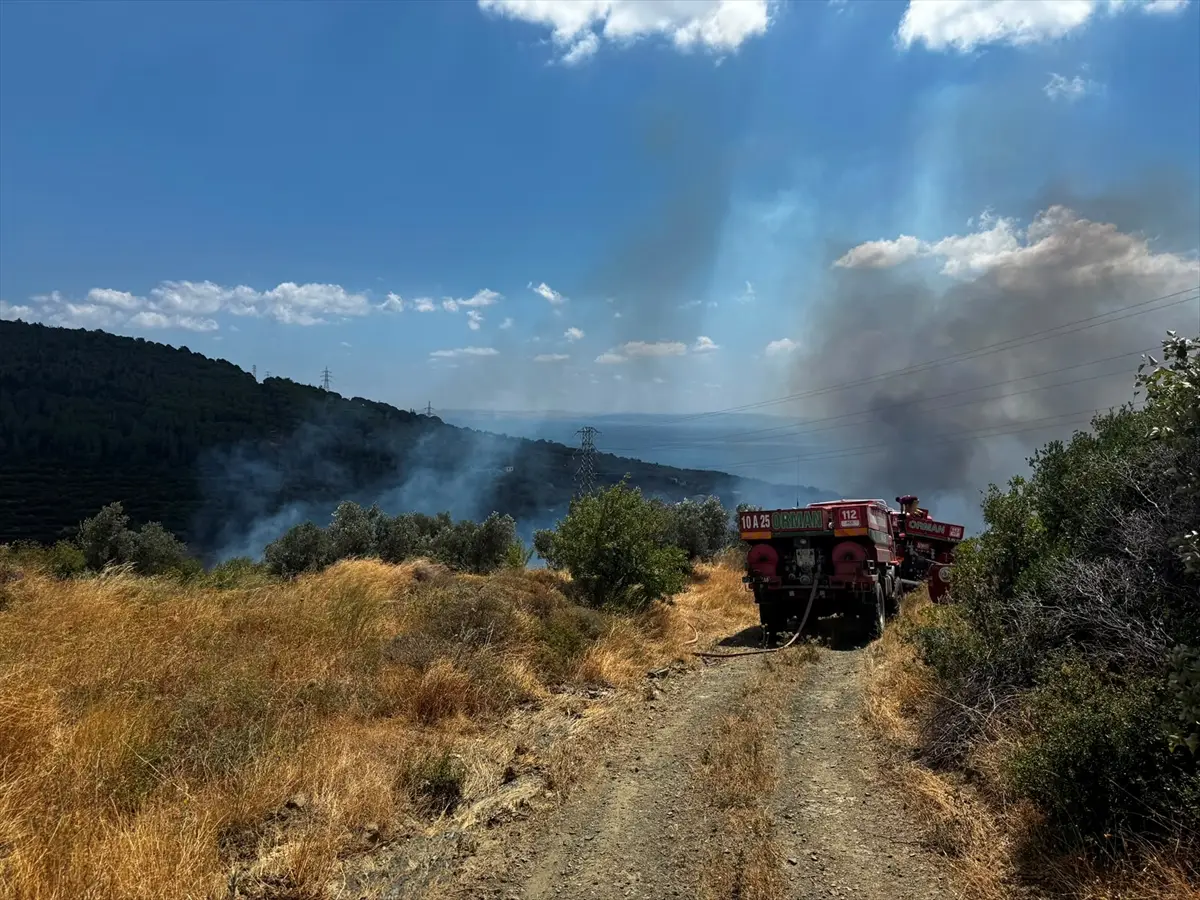 Balıkesir'in Erdek ilçesinde çıkan yangın büyük ölçüde kontrol altına alındı