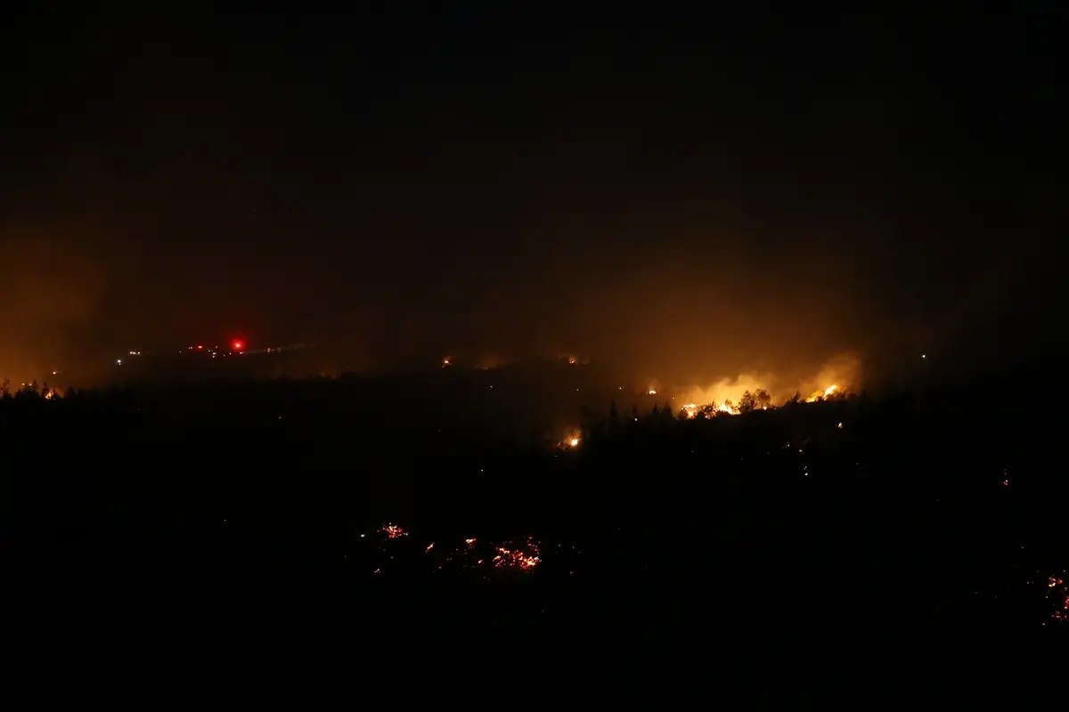 Çanakkale Ezine'deki orman yangını kontrol altına alındı