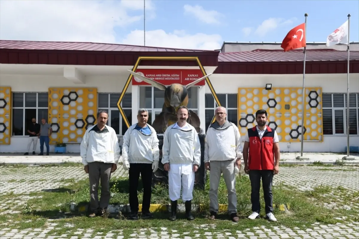 Ardahan Valisi Yamlı: Çiçek balı hasadı başladı