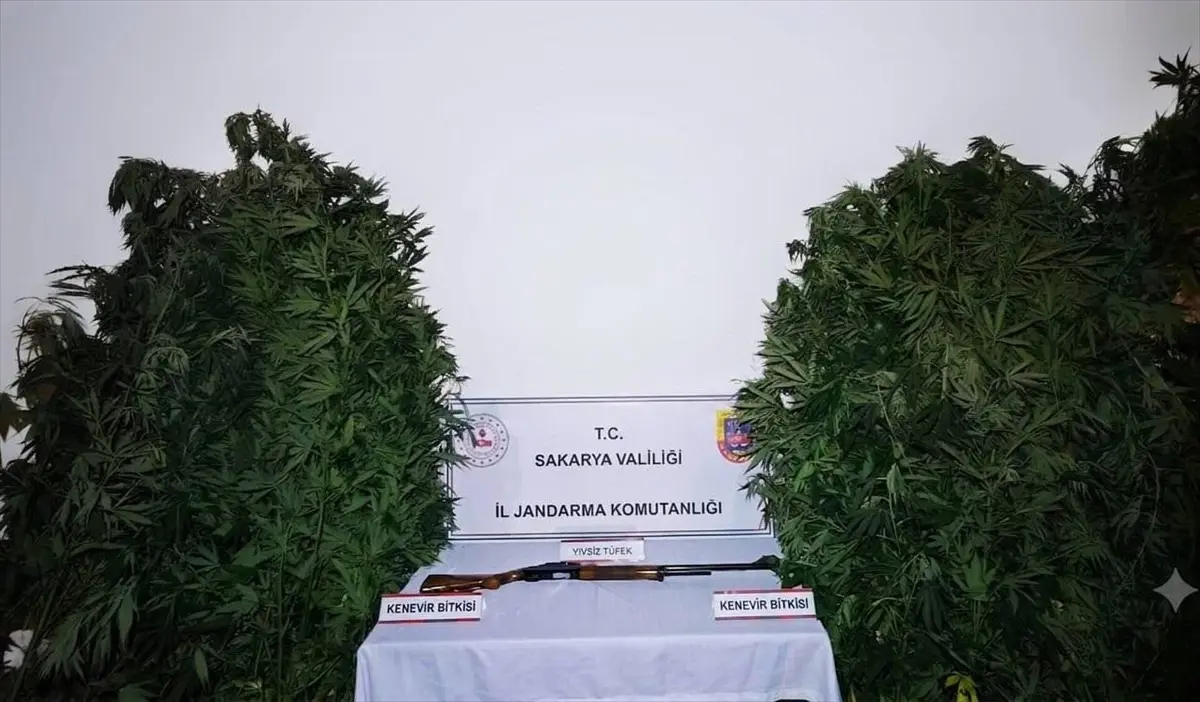 Sakarya'da uyuşturucu operasyonları: 3 zanlı tutuklandı