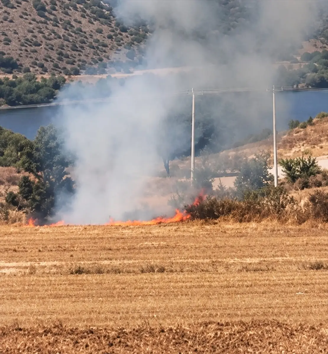 Bursa'daki arazi yangını şüphelisi K.Y. gözaltında