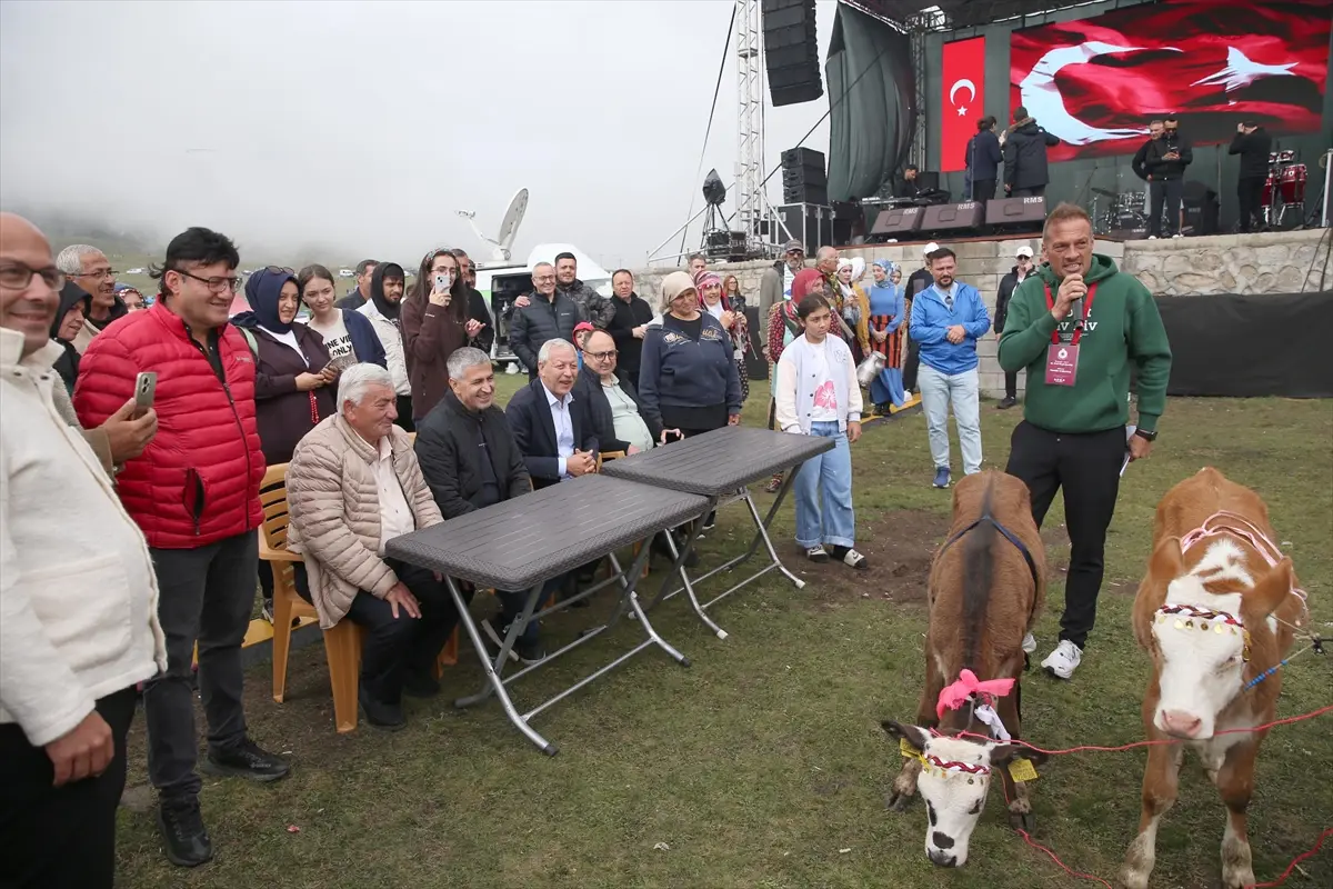 Rize Ovit Yayla Şenliği 26. kez düzenlendi: İnek yarışması yapıldı