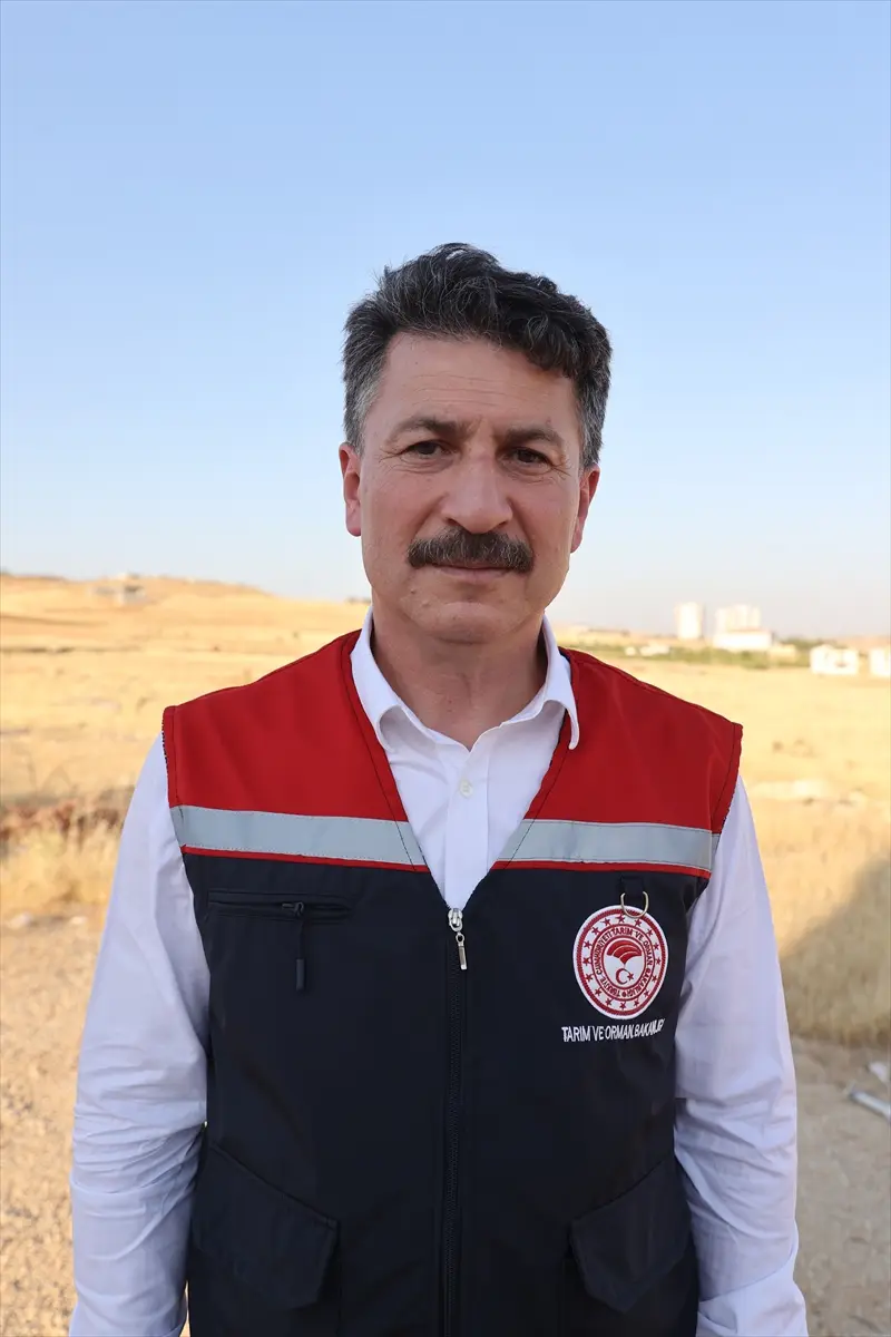 Güneydoğu'da anız yangınlarıyla mücadele sonuç veriyor