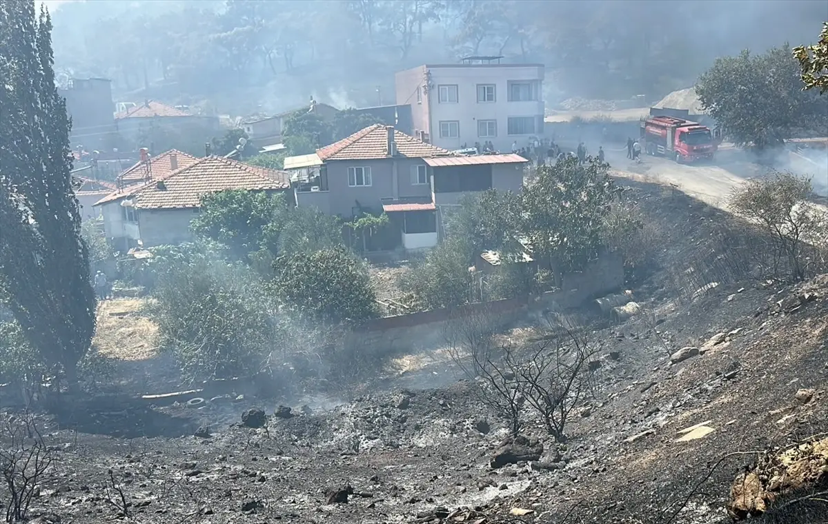 Balıkesir Edremit'te orman yangını: Ekipler müdahale ediyor