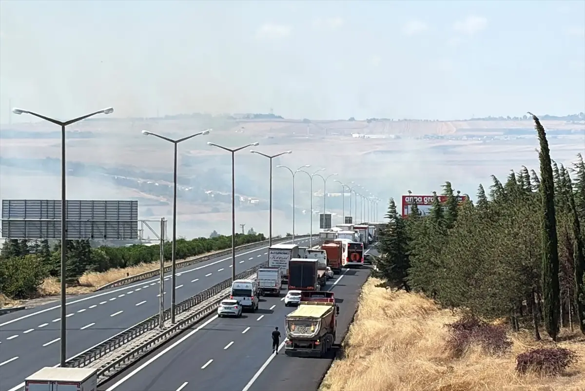 GÜNCELLEME - Silivri'de otluk ve ağaçlık alanda çıkan yangın söndürüldü