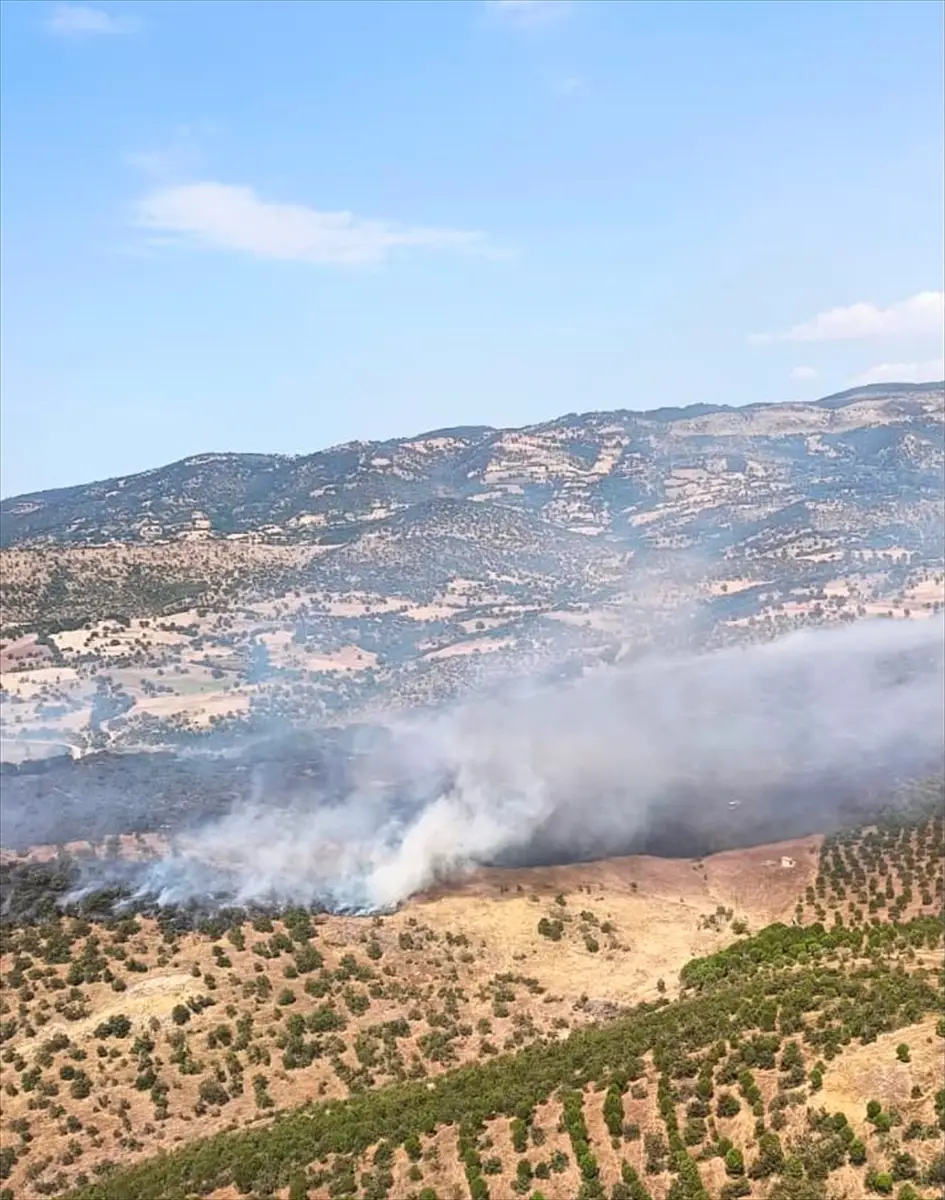 GÜNCELLEME 2 - Balıkesir'in Sındırgı ilçesindeki orman yangını kontrol altında