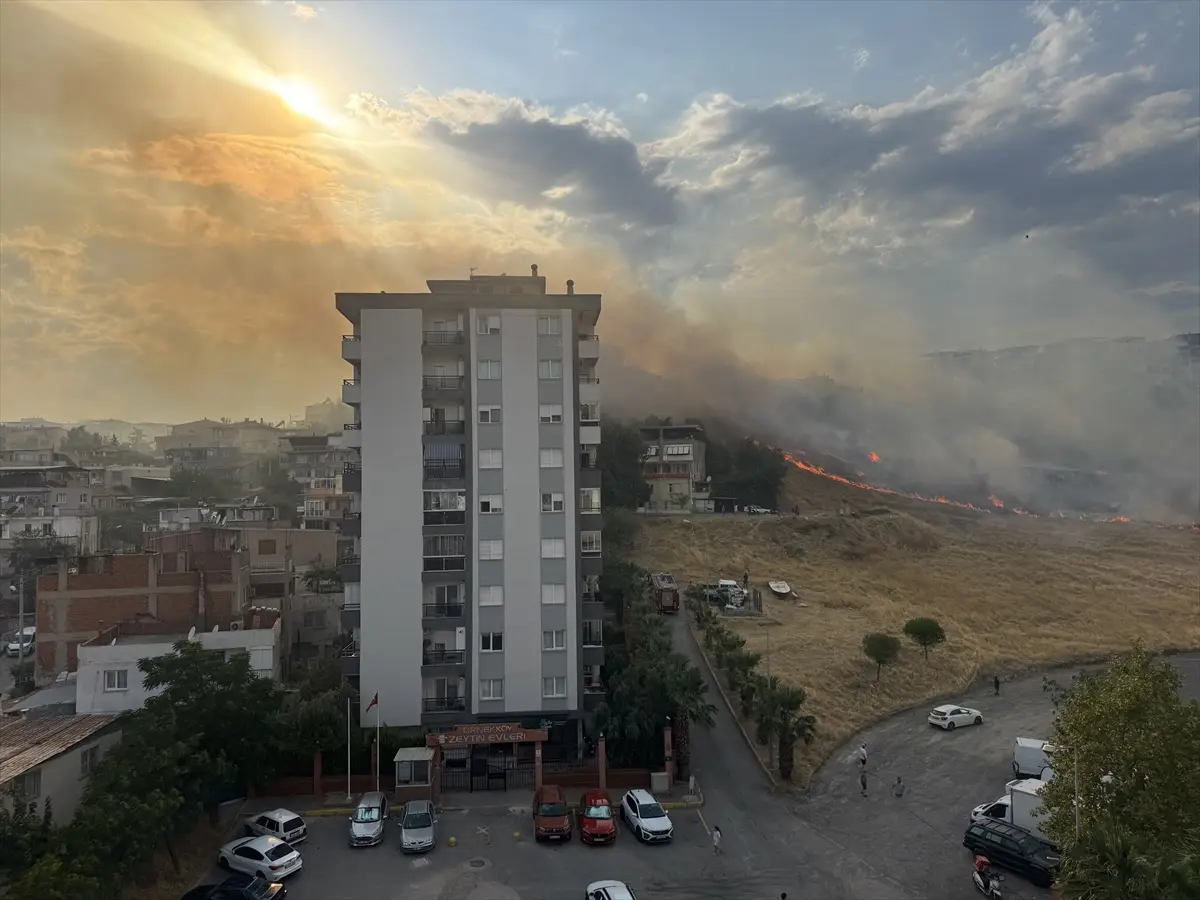 İzmir'de otluk alanda çıkan yangın kontrol altına alındı