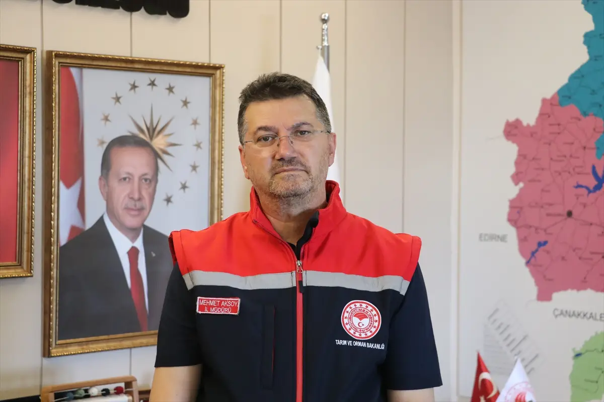 Tekirdağ'da parsel bazlı sigorta yüzde 80'i aştı