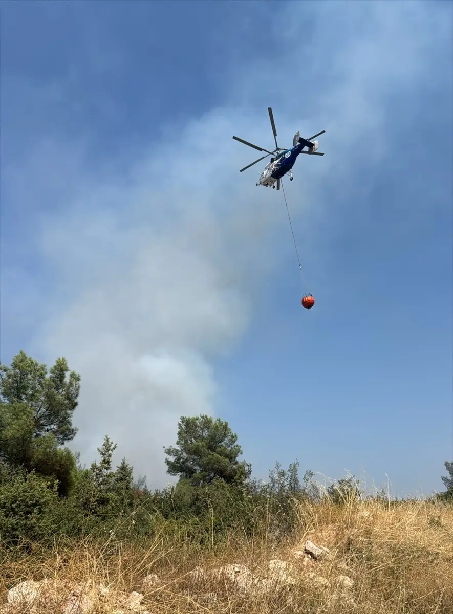 Vezirhan'da orman yangınına müdahale sürüyor