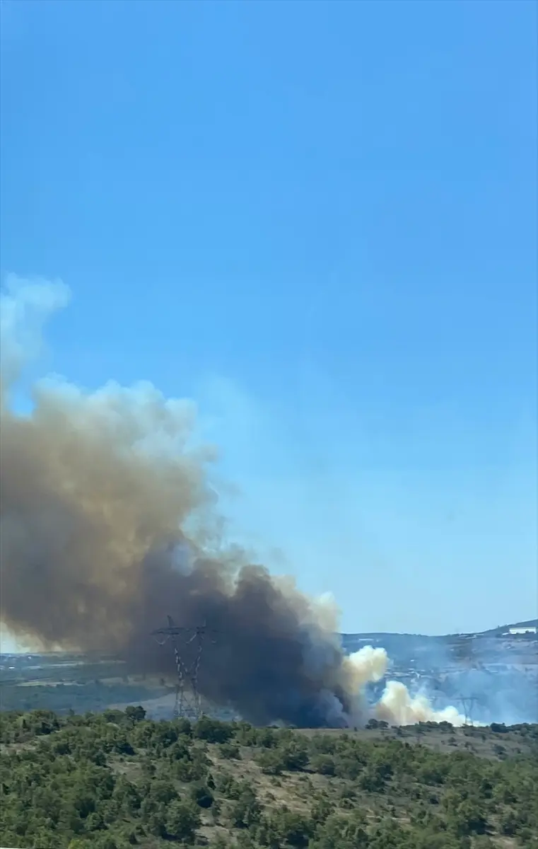 Kocaeli'de ormanlık alanda çıkan yangına müdahale ediliyor