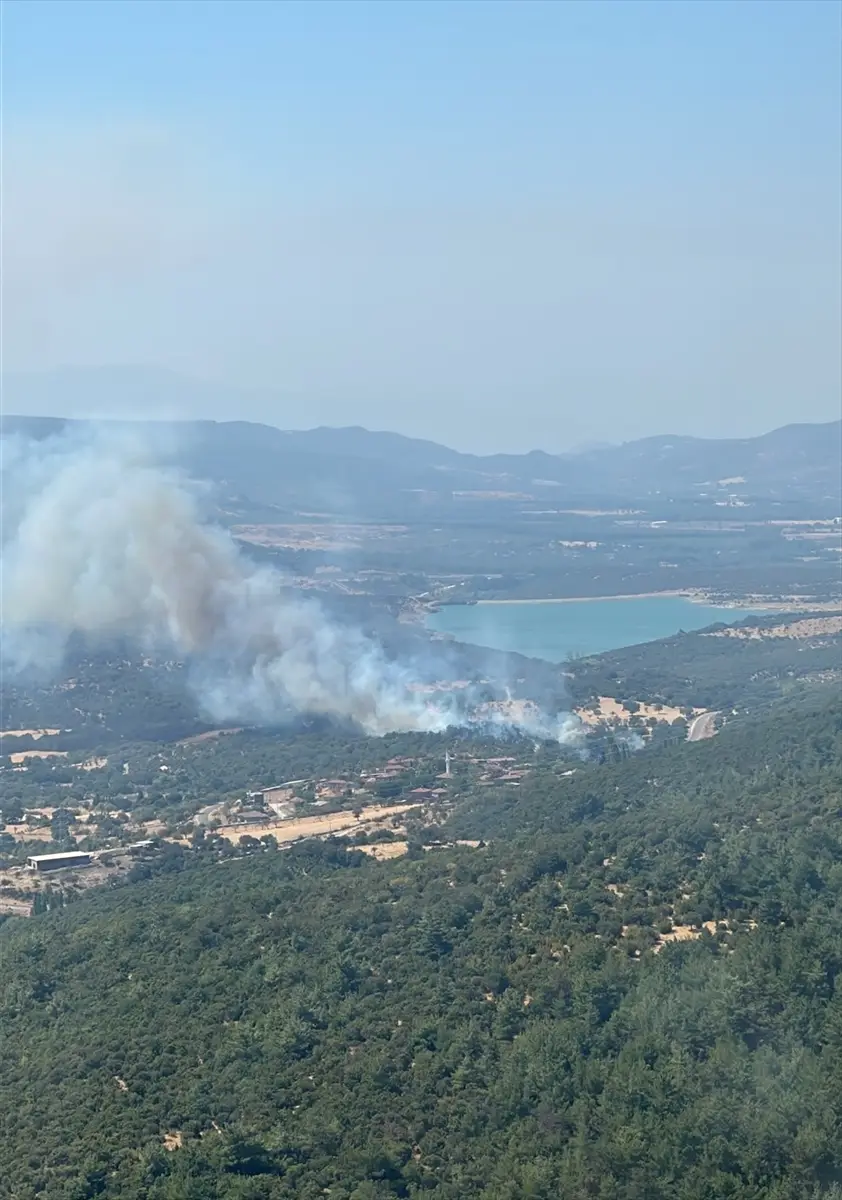 Çanakkale'de zirai alanda çıkan yangın kontrol altına alındı