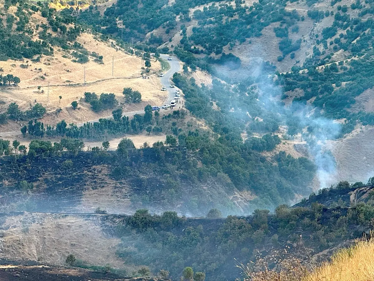 Bitlis'te örtü yangını söndürüldü: 40 hektar zarar gördü