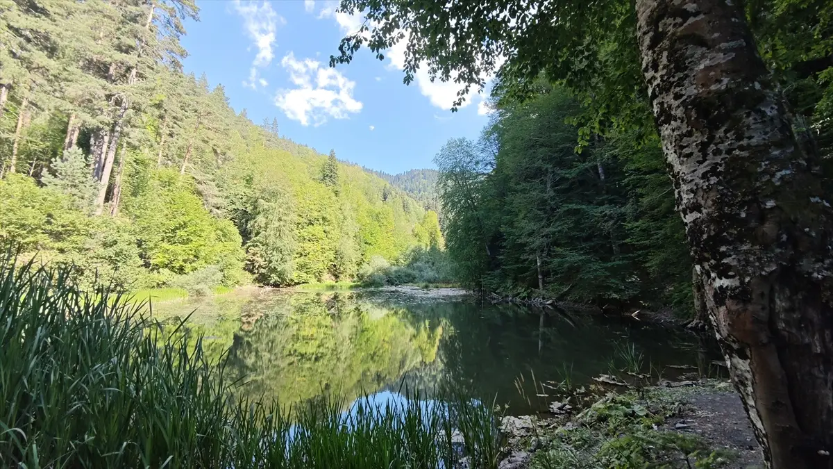 Bolu'nun saklı doğal güzelliği keşfedilmeyi bekliyor