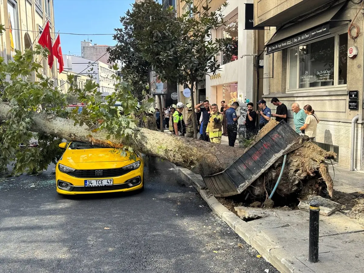 Şişli'de ağaç devrildi: Taksi ve otomobilde hasar oluştu