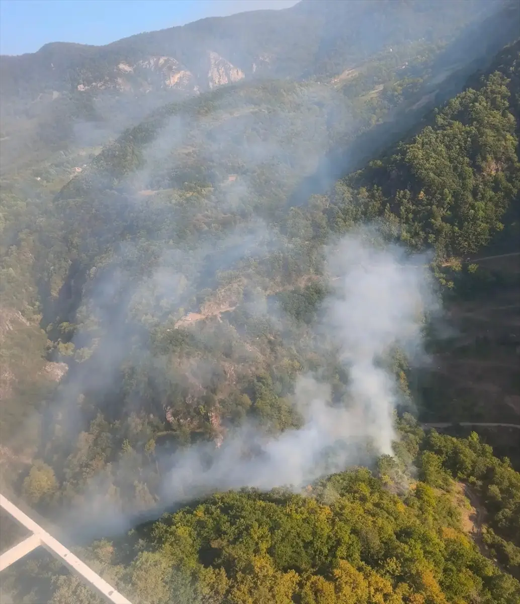 Kocaeli Başiskele'deki orman yangını kontrol altına alındı
