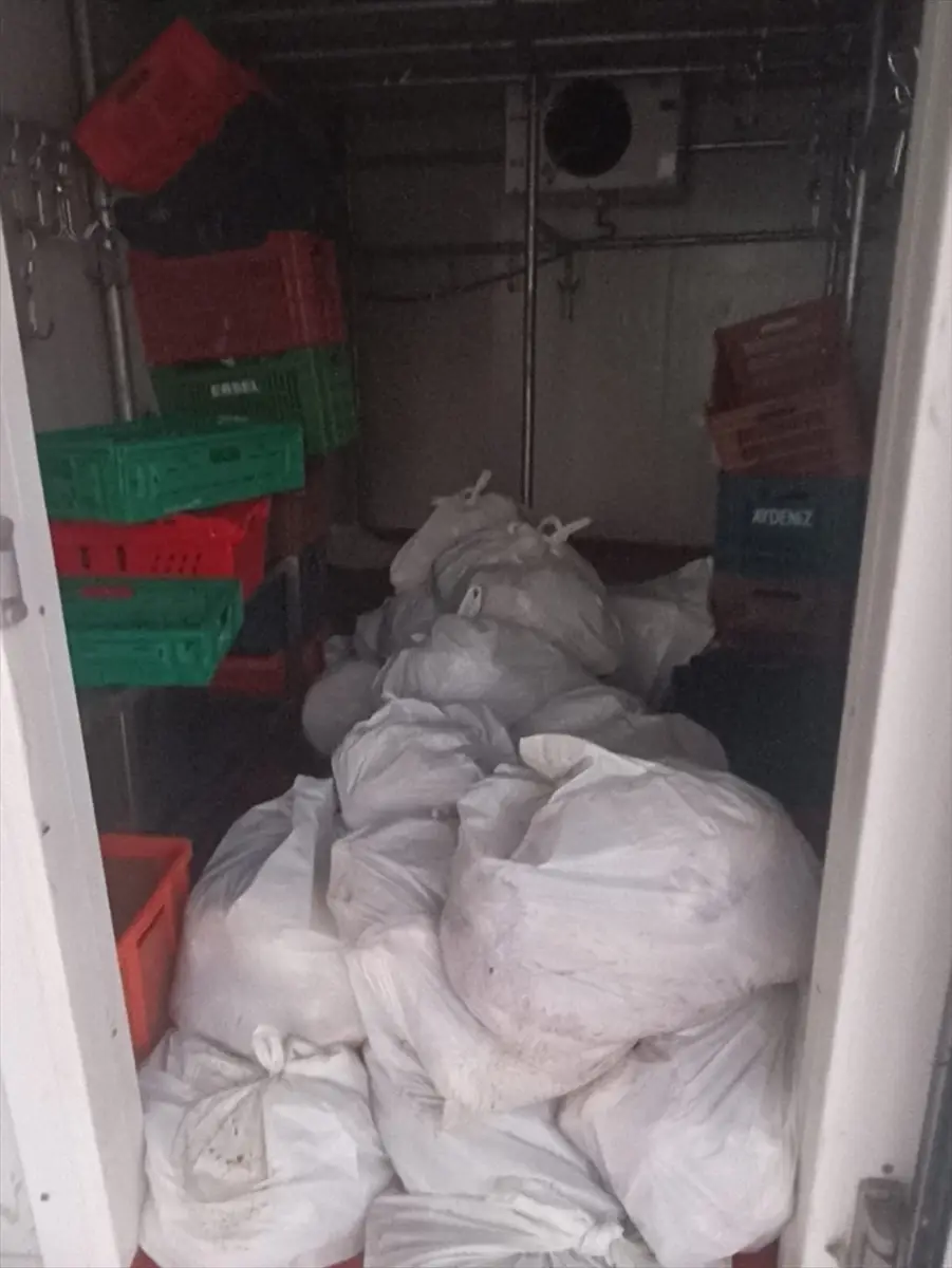 Bodrum'da kasap deposundan yaklaşık 400 kilogram bozuk et çıktı
