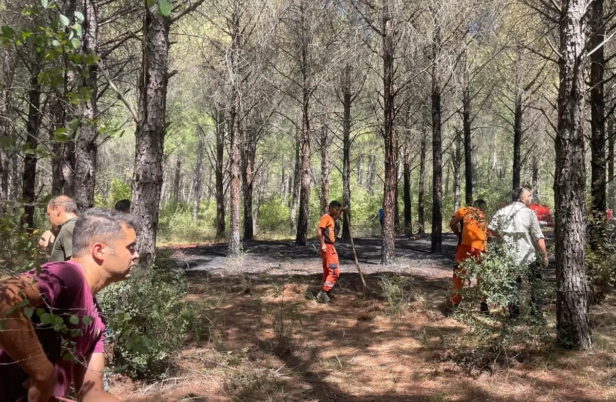 Muğla Ula'da Çıkan Orman Yangını Ekiplerce Kontrol Altına Alındı